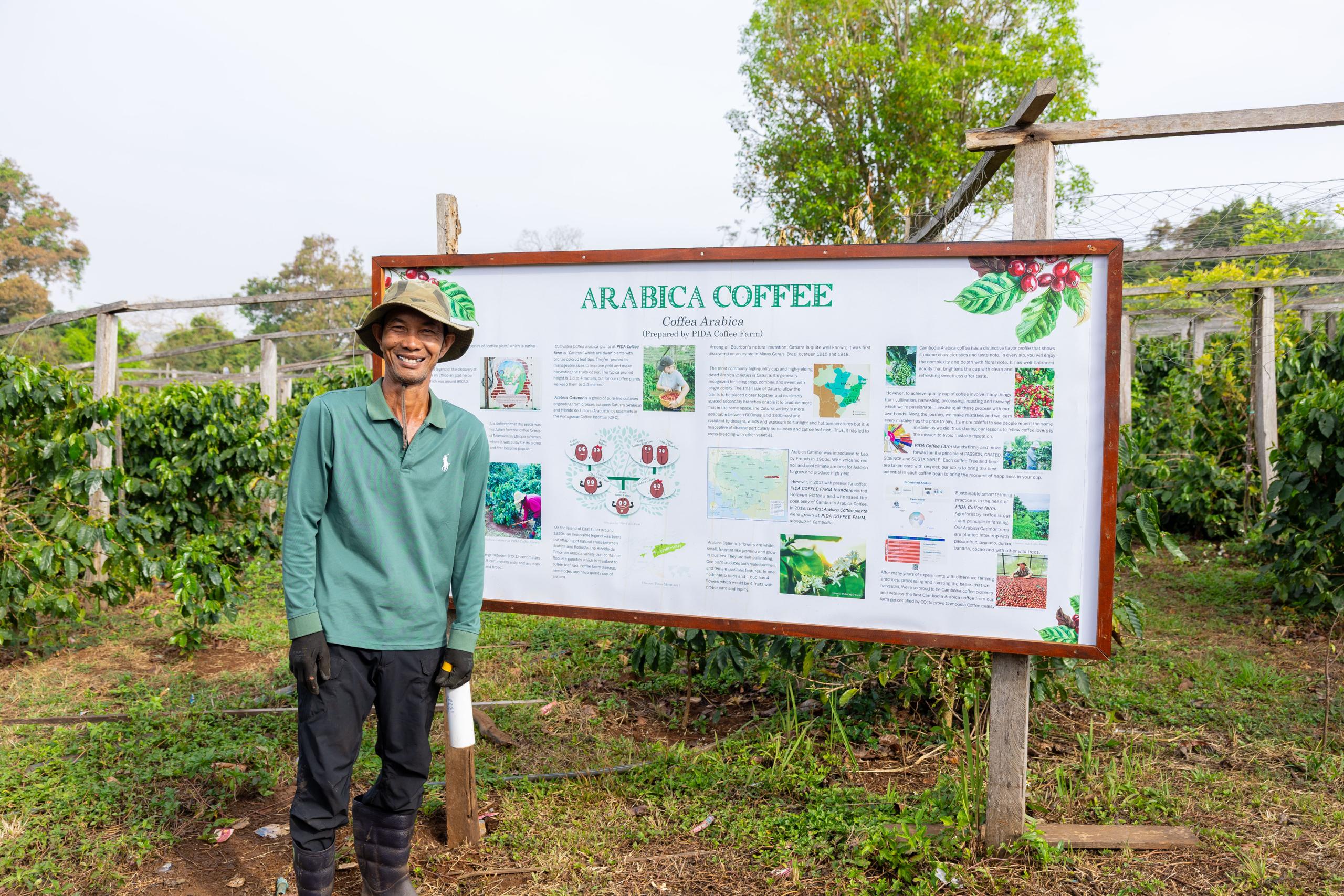 ការគាំទ្ររបស់អូស្ត្រាលីជួយជំរុញផលិតកម្មកាហ្វេនៅកម្ពុជា