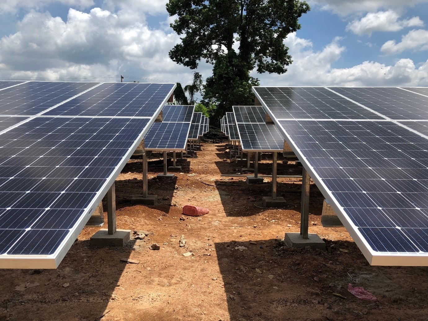 Celebrating Cambodia's Path to a Sustainable Future