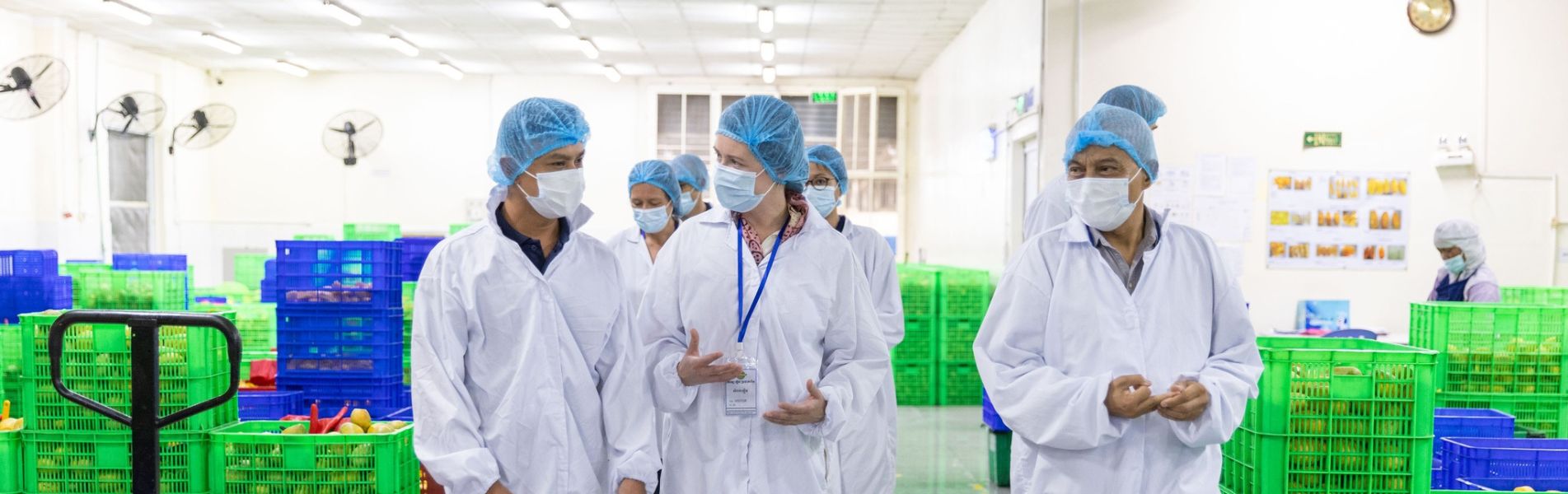 Australia supports competitiveness, inclusion and sustainability in agro-processing