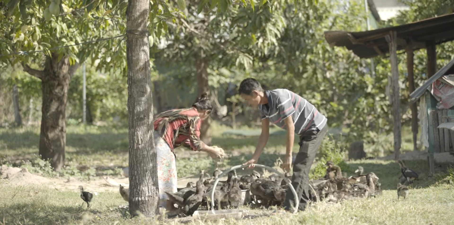 អូស្ត្រាលីមានមោទនភាពក្នុងការជួយដល់ប្រទេសកម្ពុជាដើម្បីជម្រុញបរិយាកាសធុរកិច្ចប្រកបដោយបរិយាបន្ន