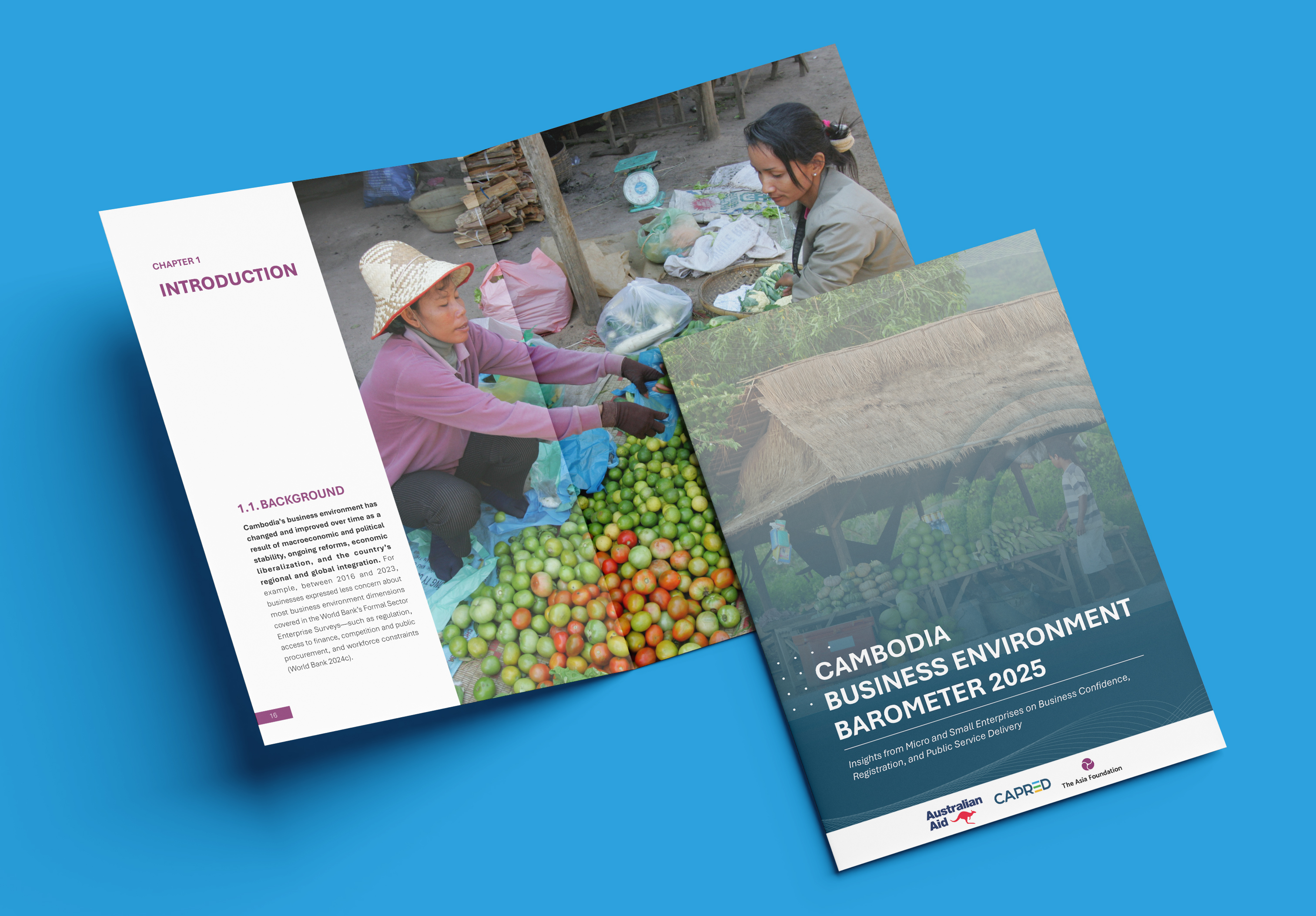 Cambodia business environment barometer 2025