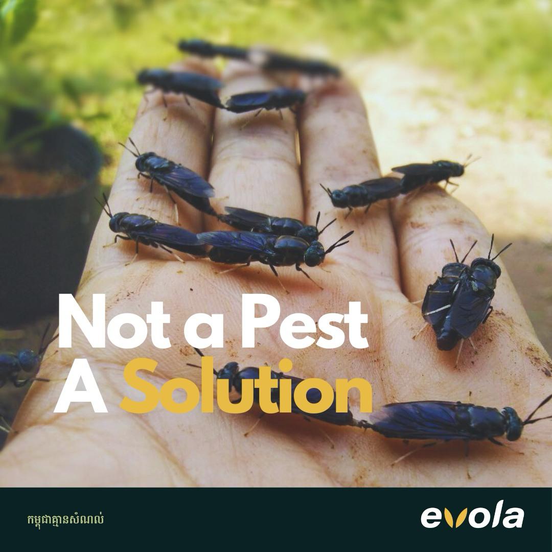 Australia supports Cambodia’s journey toward a more food-secure and sustainable future