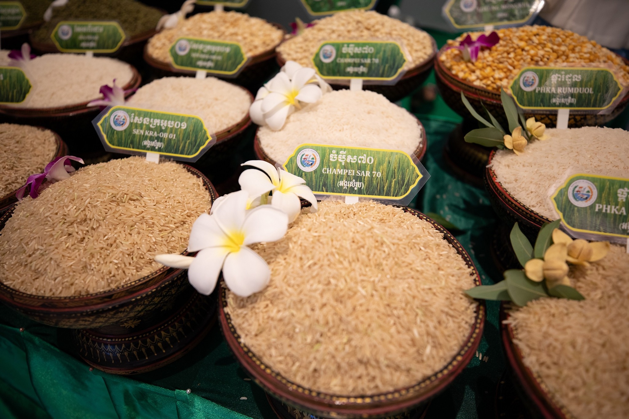 Australia continues to support Cambodia's agricultural sector to achieve rice export goals