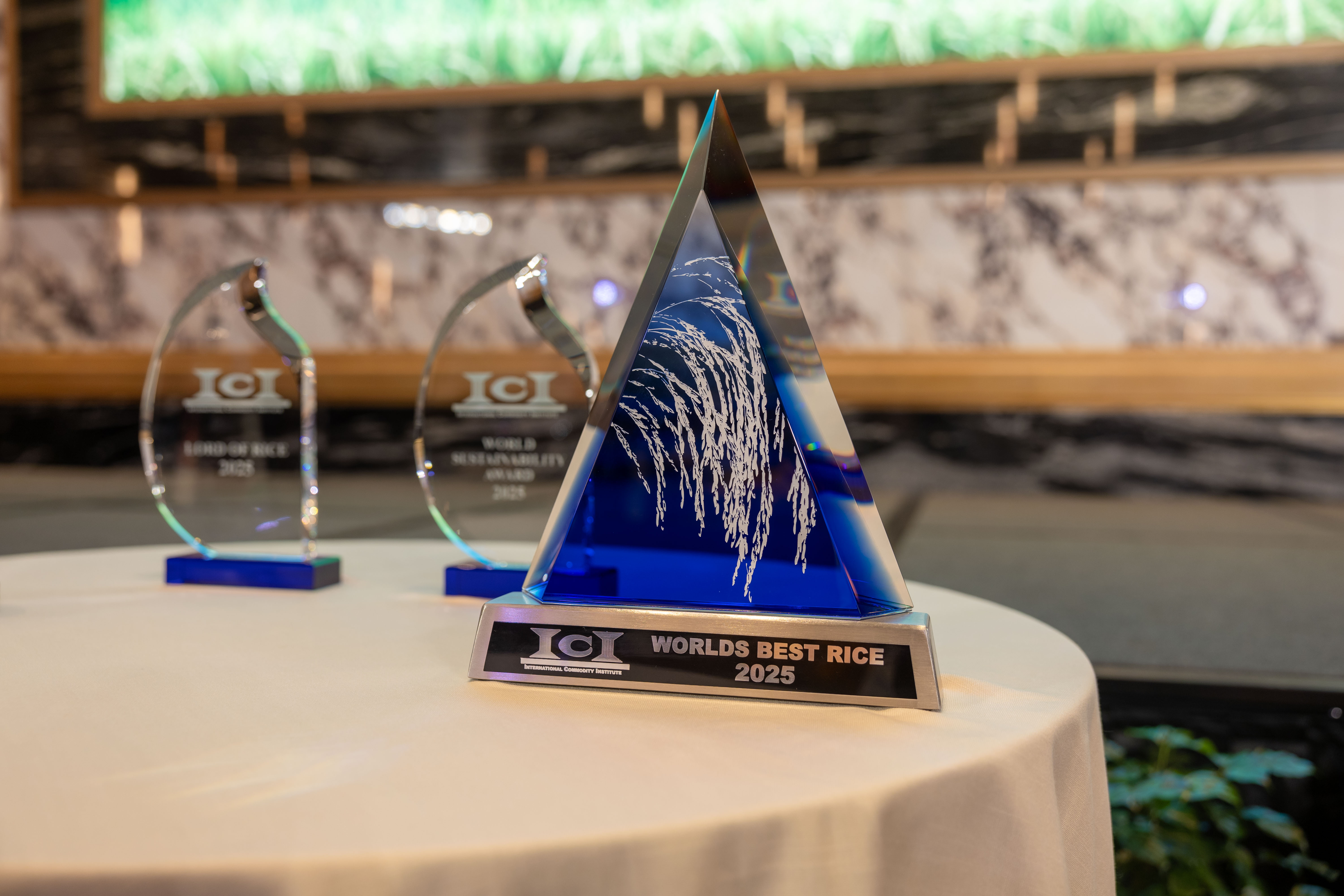 កម្ពុជាឈ្នះពានរង្វាន់អង្ករប្រណិតល្អបំផុតលើពិភពលោកឆ្នាំ ២០២៥!