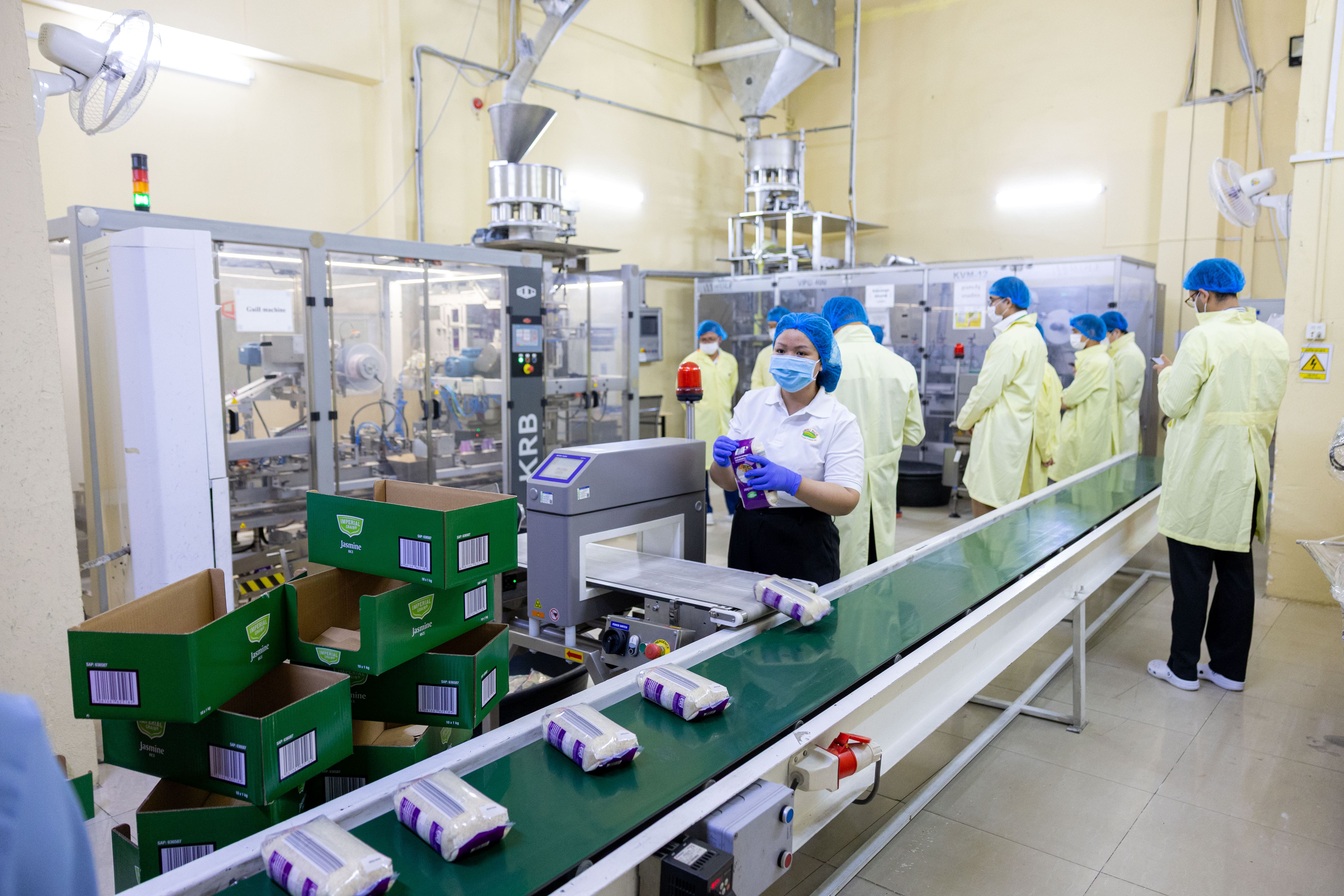 New rice export deal boosts Australia–Cambodia trade ties