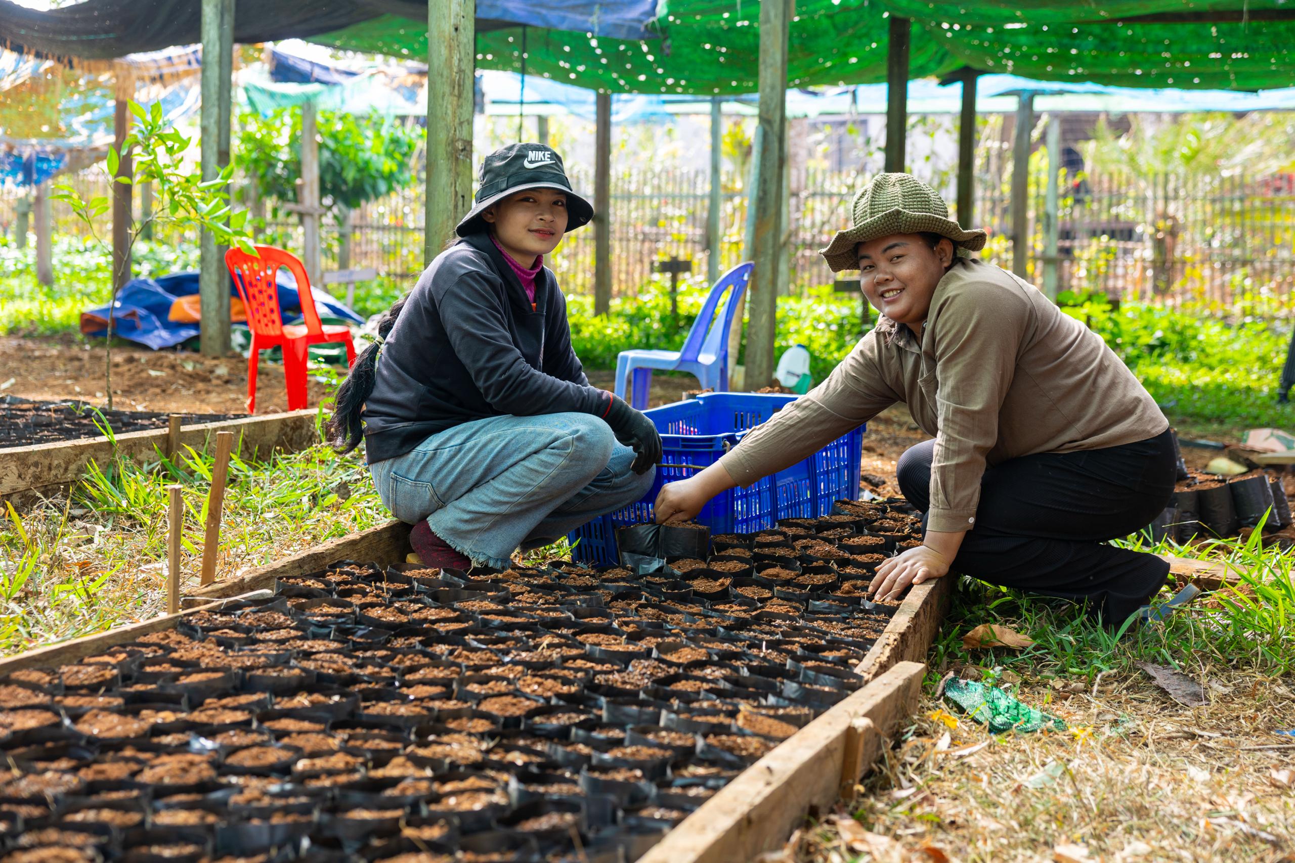 Australia’s support helps boost Cambodia’s coffee production