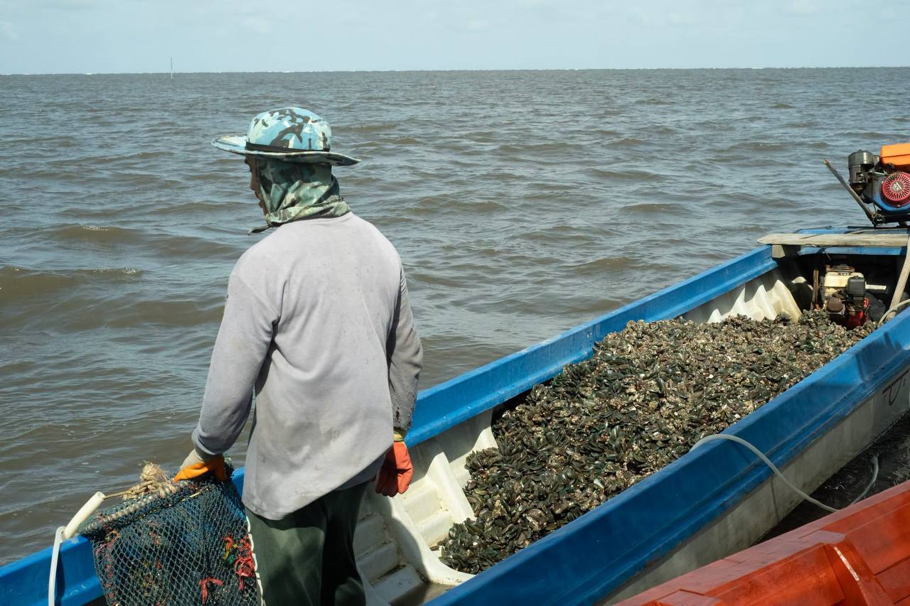 Australia backs Cambodian producers to boost food security  