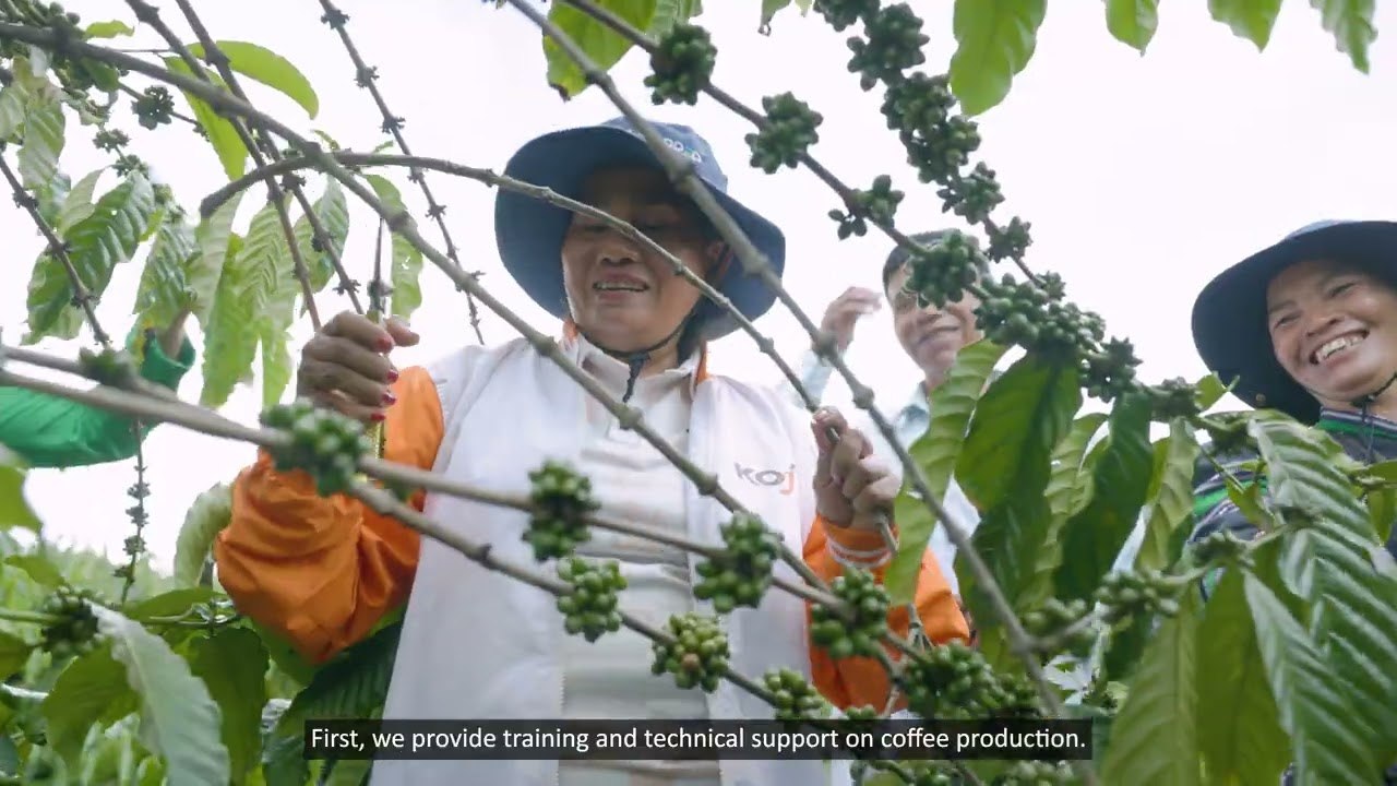 Australia boosts coffee farmers’ resilience with solar irrigation