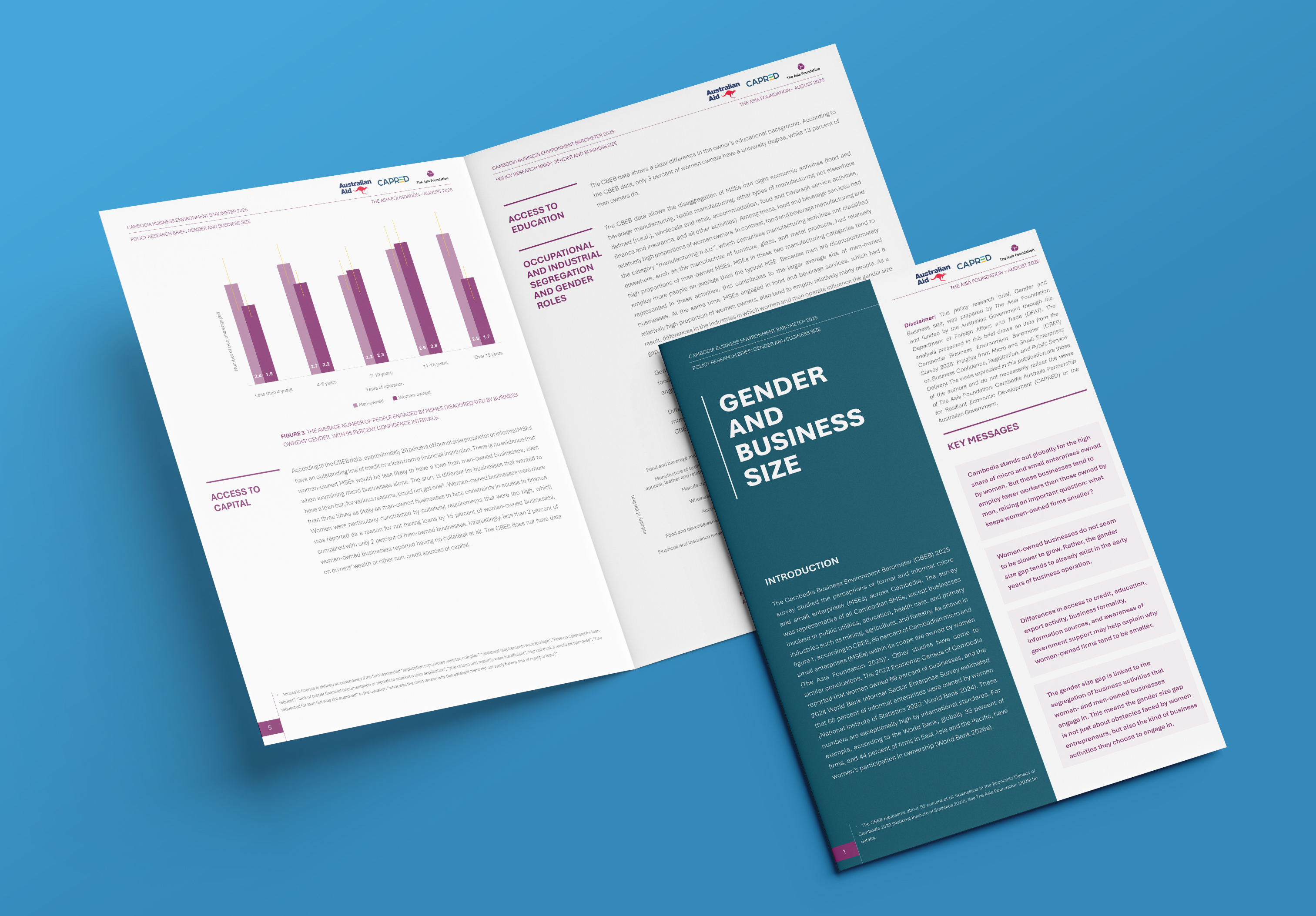 Policy research brief: gender and business size